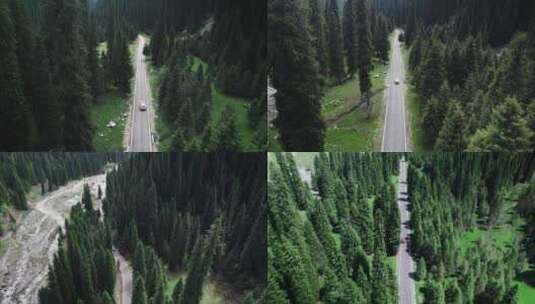 行驶在森林公路上的汽车高清在线视频素材下载