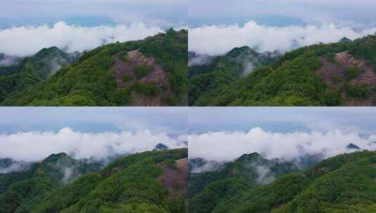 南五台山 钟南山 秦岭 云海 日出 云彩 蓝天高清在线视频素材下载