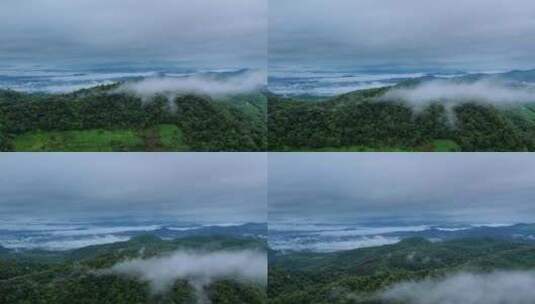 云雾森林航拍山山川大自然风景意境自然风光高清在线视频素材下载