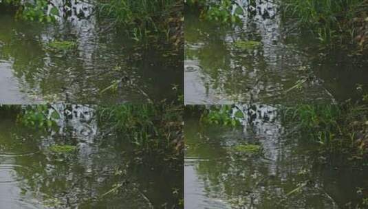 下雨水滴升格慢动作慢镜头高清在线视频素材下载