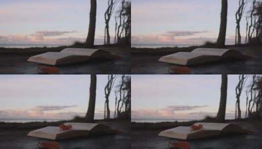 海边夕阳落叶下的书籍随风而动高清在线视频素材下载