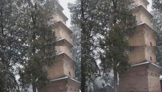 护国兴教寺雪景 寺院  唐三藏寺院高清在线视频素材下载