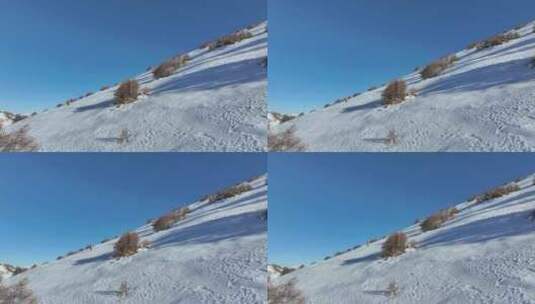 实拍登雪山画面高清在线视频素材下载