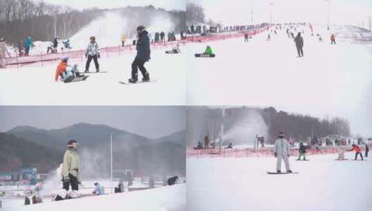 滑雪场 滑雪青年人 单板双板滑雪高清在线视频素材下载