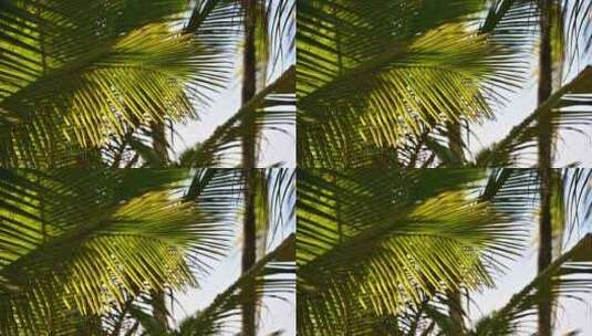 海南三亚大海黄昏椰树椰林沙滩木栈道风光高清在线视频素材下载