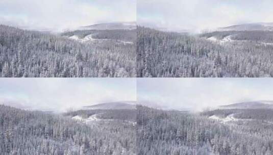 4k风景冬天的喀纳斯森林高清在线视频素材下载