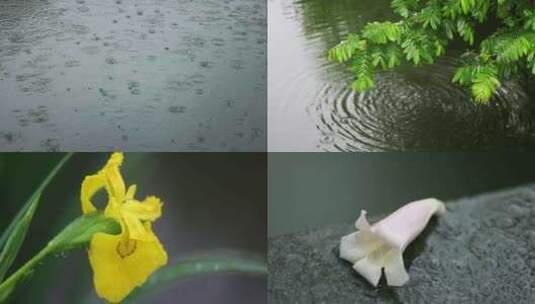 （8镜合集）春雨下雨雨天唯美治愈微距空镜高清在线视频素材下载