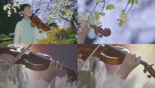 唯美男孩在浪漫樱花林拉琴芦苇海边拉小提琴高清在线视频素材下载