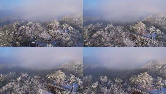 伏牛山冬季雪景云海雾凇高清在线视频素材下载