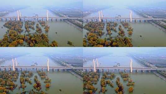 河滩湿地夕阳晚霞落日与鱼鹰、鸬鹚高清在线视频素材下载