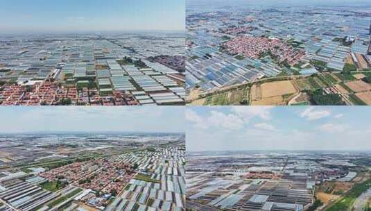 航拍-寿光蔬菜大棚高清在线视频素材下载