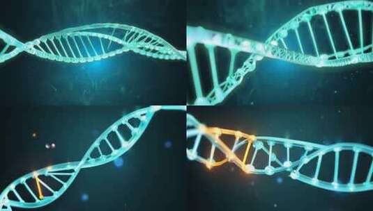 DNA分子核酸RNA序列高清在线视频素材下载