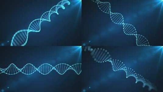 DNA螺旋结构特效高清AE视频素材下载