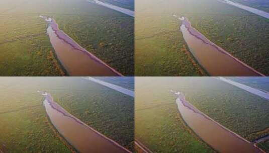 湖南洞庭湖干涸露出草地高清在线视频素材下载