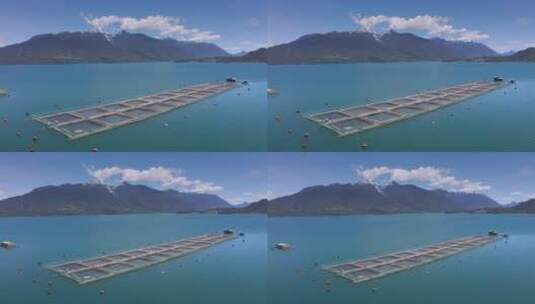 鲑鱼养殖基地高清在线视频素材下载