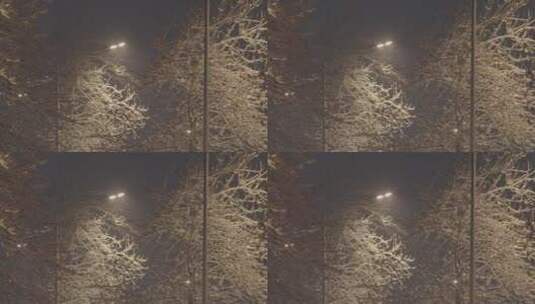 夜晚雪景空镜 冬天雪景高清在线视频素材下载