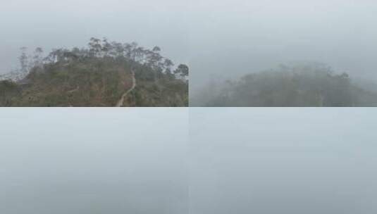 山上云雾飘飘雾气树林云雾缭绕森林高清在线视频素材下载