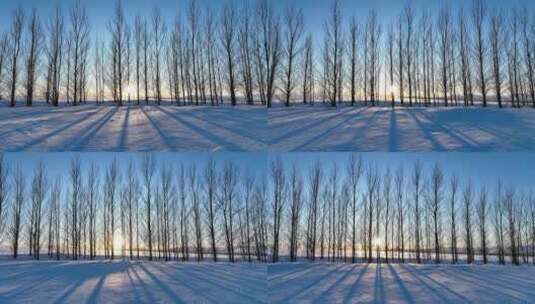 呼伦贝尔雪原防风林带夕阳雪景高清在线视频素材下载