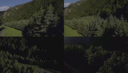 4K青海互助浪士当景区原始森林航拍02高清在线视频素材下载