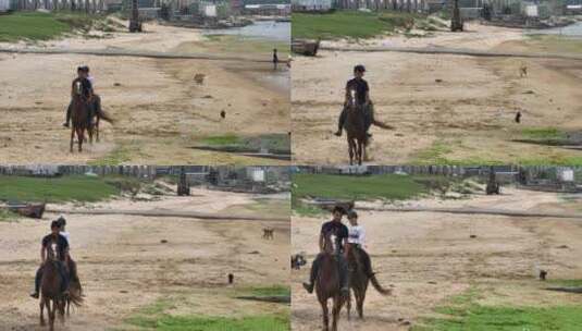长焦航拍威海金海路沙滩上的骑马人高清在线视频素材下载