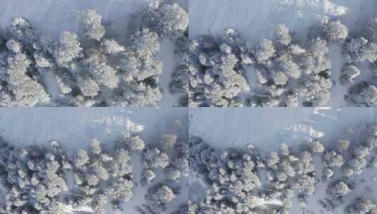 冬季的雪山景色高清在线视频素材下载