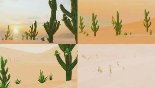 荒凉沙漠植物唯美风景高清在线视频素材下载