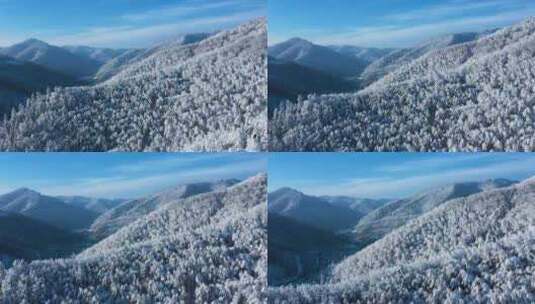 森林雪山 冰天雪地 唯美雪山高清在线视频素材下载