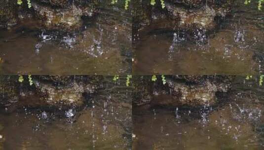 水滴滴落慢镜头空镜高清在线视频素材下载