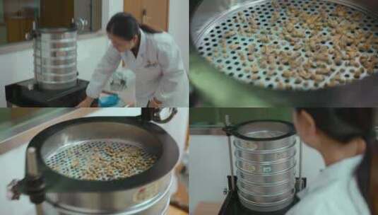 咖啡生产视频咖啡生豆机器筛选过程高清在线视频素材下载