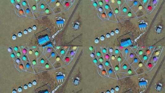 呼伦贝尔大草原上的彩色蒙古包高清在线视频素材下载
