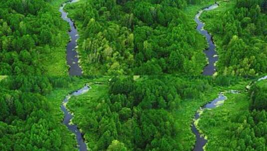 鸟瞰绿色森林和河流高清在线视频素材下载