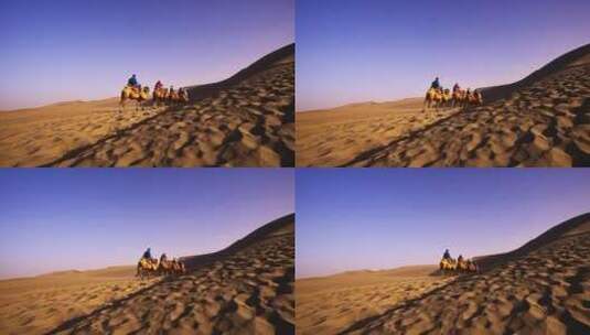 新疆沙丘沙漠骆驼队高清在线视频素材下载