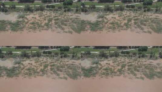 航拍南方洪水被淹没植物高清在线视频素材下载