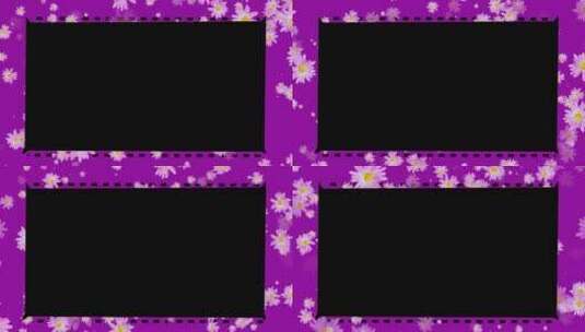 紫色菊花简洁视频框带通道高清在线视频素材下载