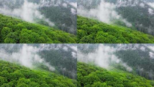 航拍雨天鸟瞰山林上空的云飞过神奇的夏日森林高清在线视频素材下载