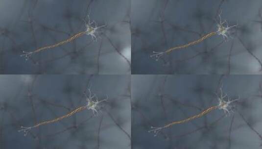细胞膜树突轴突神经元神经组织神经系统动画高清在线视频素材下载