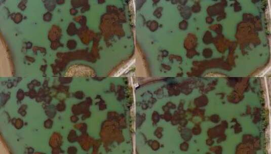 沙漠中的绿色湖泊高清在线视频素材下载