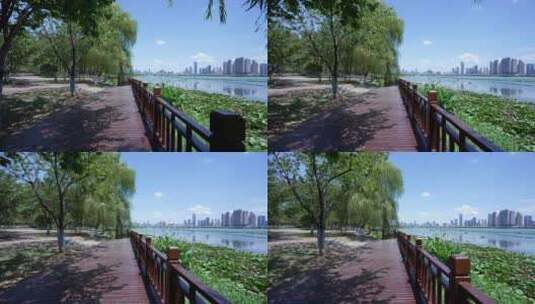 武汉武昌区沙湖公园风景高清在线视频素材下载