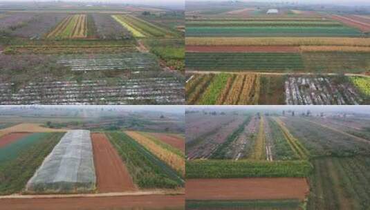 4K陕西农业土地农作物航拍素材1高清在线视频素材下载