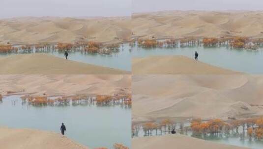 航拍男人走在秋天新疆葫芦岛的沙丘上高清在线视频素材下载