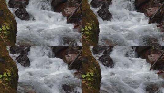 山涧流水小溪高清在线视频素材下载