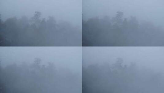 冬季山间树木云雾云海高清在线视频素材下载