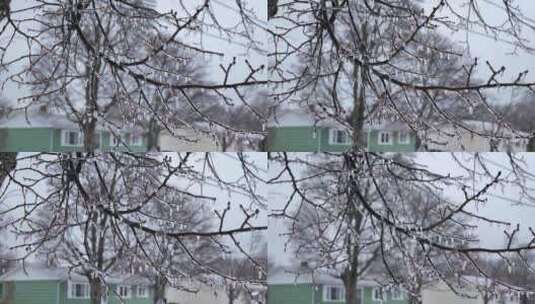 冻雨过后冻住的树木，和其他景物高清在线视频素材下载