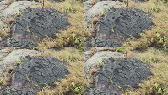 描绘一个家庭的夏威夷熔岩岩画。高清在线视频素材下载