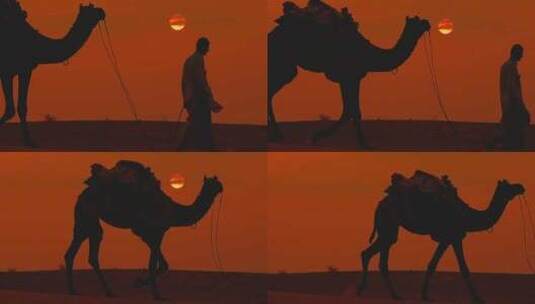黄昏日落一人牵着骆驼沙漠行走特写高清在线视频素材下载