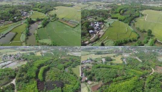 川西平原罗江乡村田地沃土高清在线视频素材下载