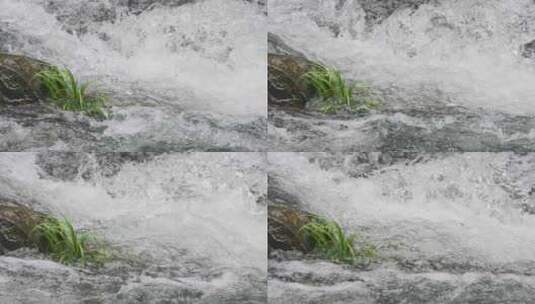 溪流的诗行：探寻生命的流动之美高清在线视频素材下载