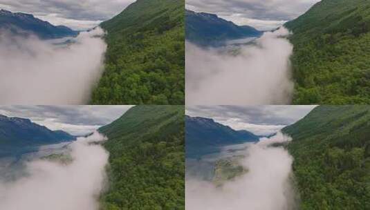 原始森林山谷山峰云雾大自然风景景观高清在线视频素材下载