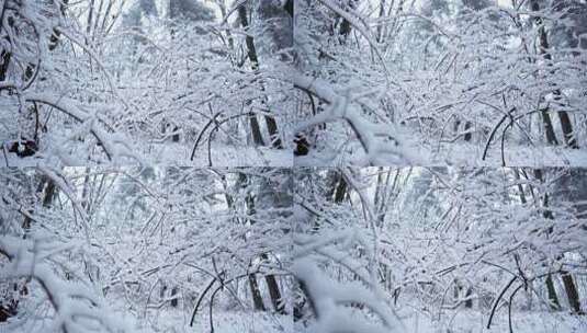 伏牛山冬季雪景雾凇高清在线视频素材下载