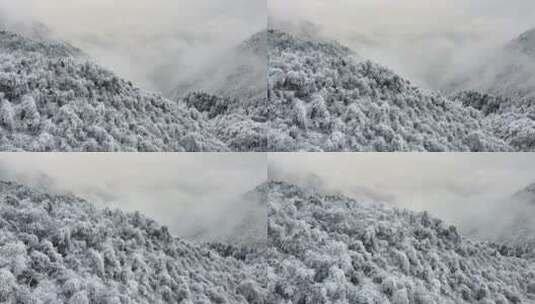 西岭雪山 雪景 大雪覆盖的自然风光 航拍高清在线视频素材下载